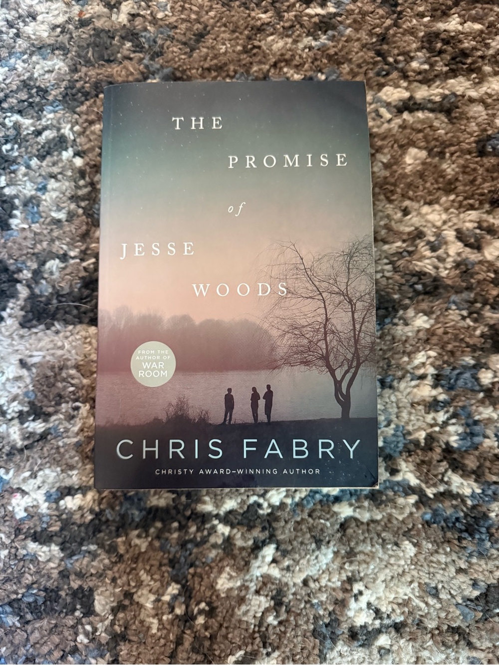 The Promise of Jesse Woods by Chris Fabry - Scenic Cover